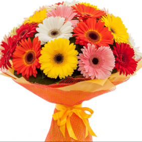  Alanya Flowers Order 15 Adet Gerbera Buket